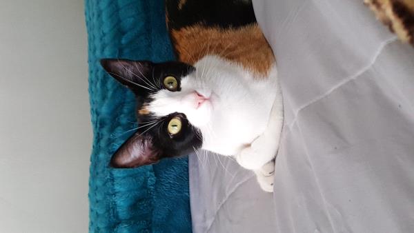 /Images/uploads/Humane Society of Utah/HSUCalendar/entries/832thumb.jpg